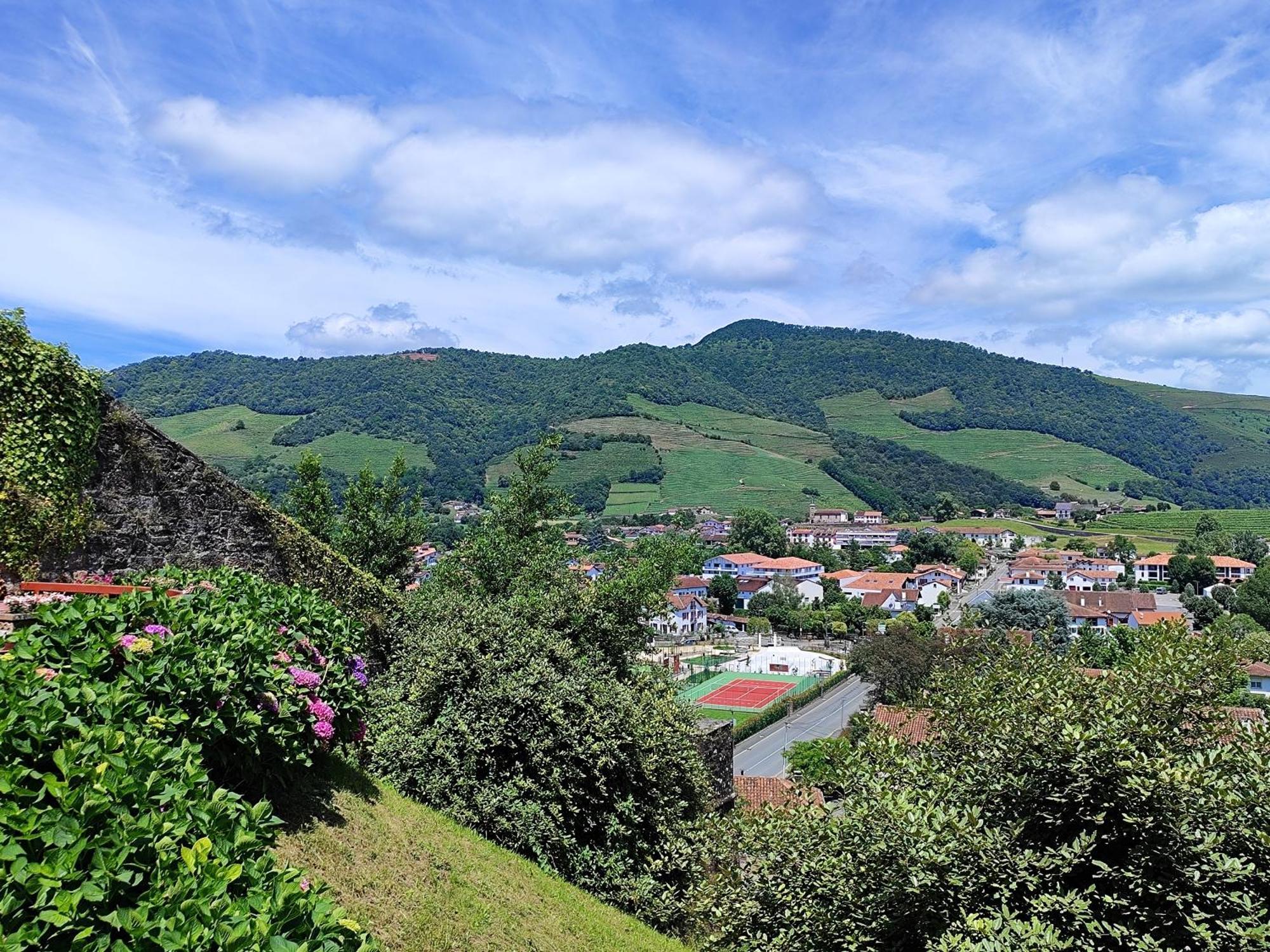 L'Auberge Du Pelerin - St Jean Pied De Port Saint-Jean-Pied-de-Port Dış mekan fotoğraf
