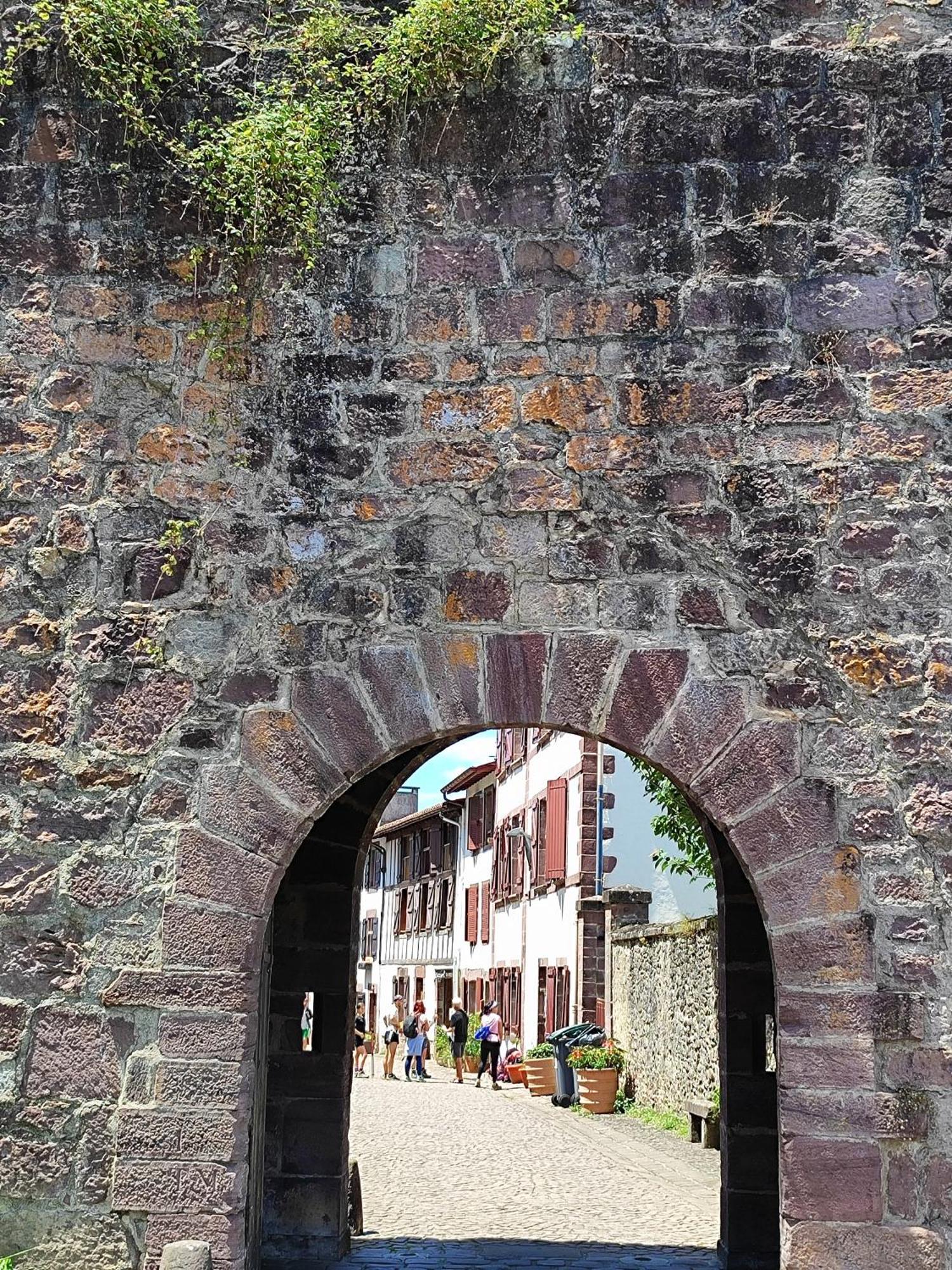 L'Auberge Du Pelerin - St Jean Pied De Port Saint-Jean-Pied-de-Port Dış mekan fotoğraf