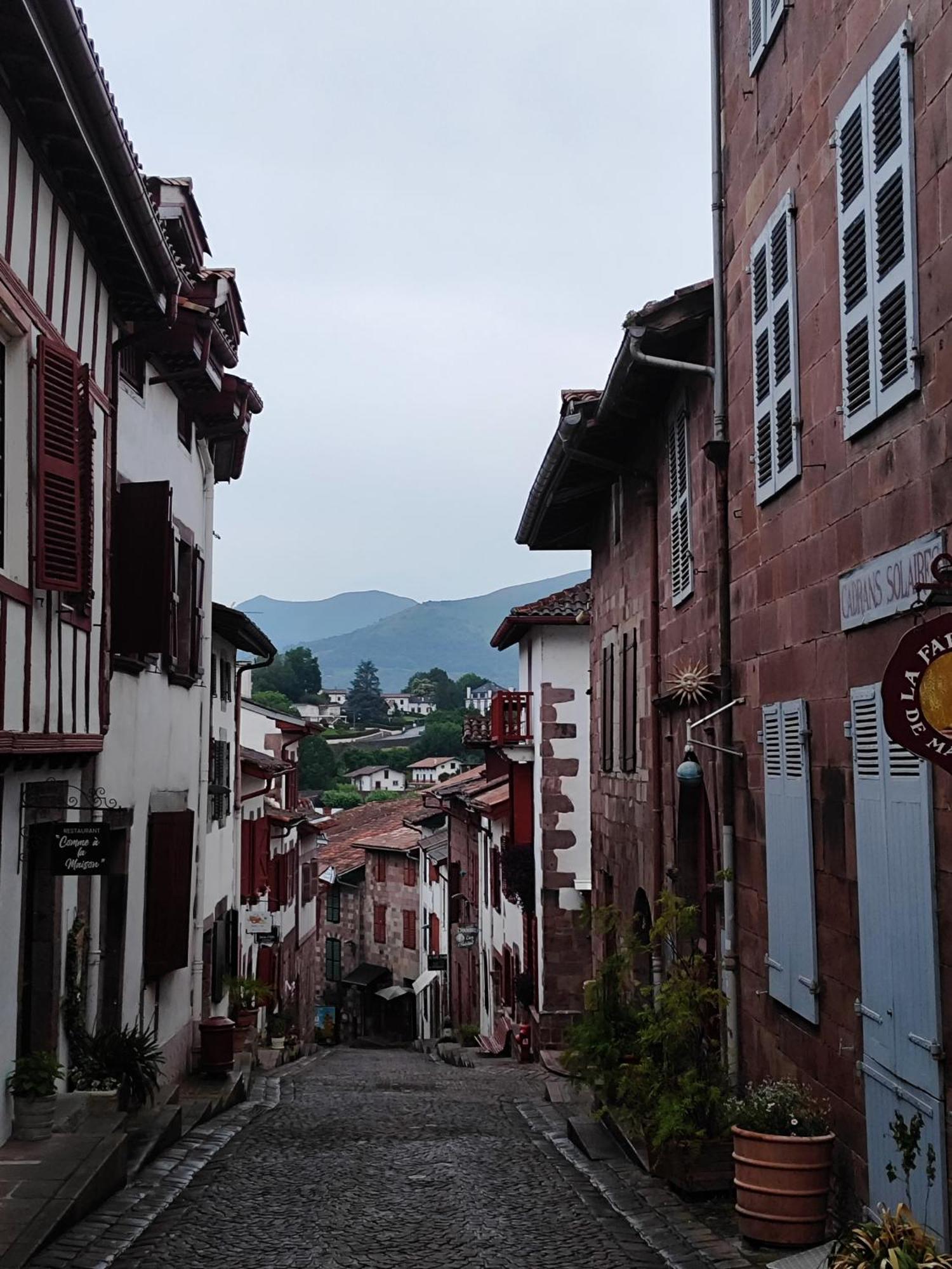 L'Auberge Du Pelerin - St Jean Pied De Port Saint-Jean-Pied-de-Port Dış mekan fotoğraf